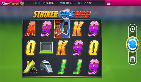 striker goes wild slot|Striker Goes Wild Slot Review .